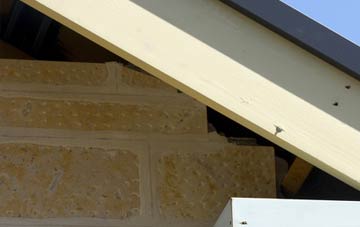 soffit repair Pontithel