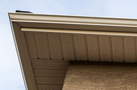 free Pontithel fascia quotes